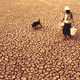 Image for article titled 10 Climate Change Pictures We Really Don't Need to See Again